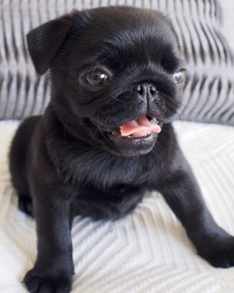 476928211 585224067841184 4655972883557339023 n