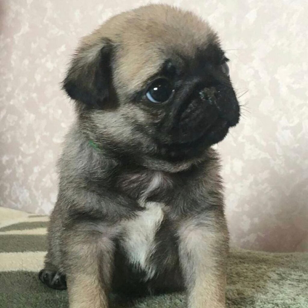 photo 2021 08 14 13 47 04